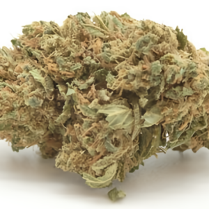 CASCA FLORES CBD PREMIUM 3G – EXCLUSIVE COLLAB TROPICAL BUD X REGULA